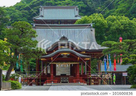 初夏古都鎌倉鶴岡八幡宮神社少女和本社(上社) 初夏古都鎌倉鶴岡八幡宮神社少女和本社(上社) 101600836