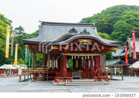 鎌倉古城初夏鶴岡八幡宮巫女 鎌倉古城初夏鶴岡八幡宮巫女 101600837