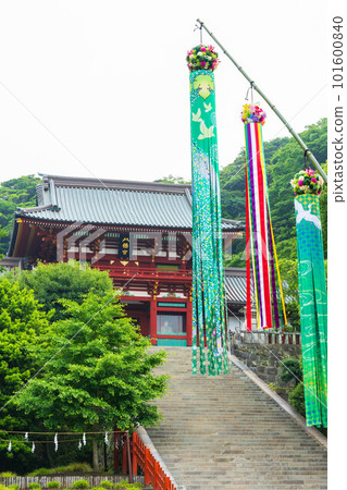 Early summer in the ancient capital of Kamakura Tsurugaoka Hachimangu Main Shrine (Upper Shrine) 101600840