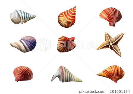 Vector summer set Seashell watercolor illustration. Hand drawn underwater element design for greeting card, printing. 101601124