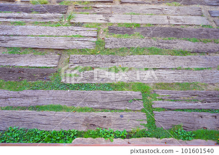 Wooden walkway in garden with green grass and leaves background. Wooden walkway in garden with green grass and leaves background. 101601540
