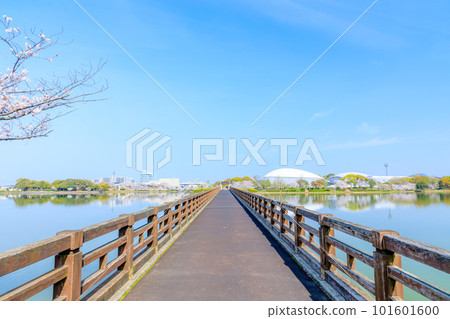 福岡縣霞屋町春天的嘉代町公園 福岡縣霞屋町春天的嘉代町公園 101601600