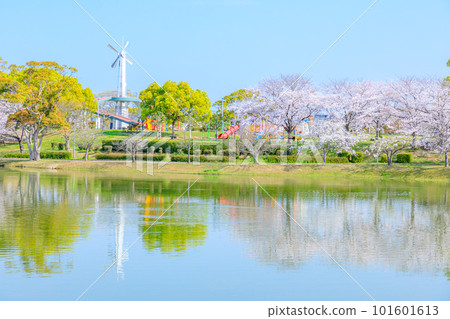 Kayocho Park in Spring, Kasuya Town, Fukuoka Prefecture 101601613