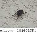 Bug 101601751
