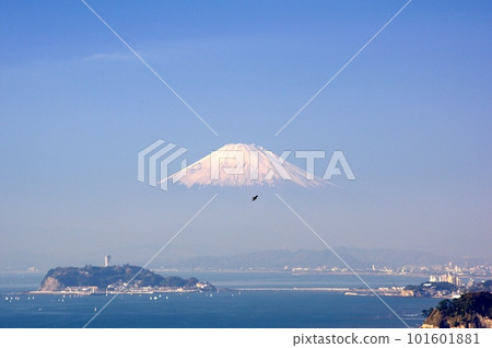 Mount Fuji floating in the air from Hiroyama Park Mount Fuji floating in the air from Hiroyama Park 101601881