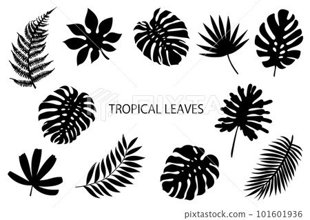 熱帶植物剪影 熱帶植物剪影 101601936