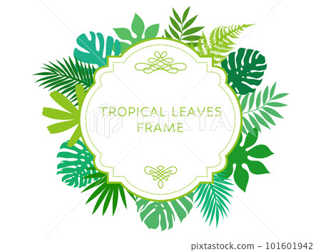 tropical leaf frame tropical leaf frame 101601942