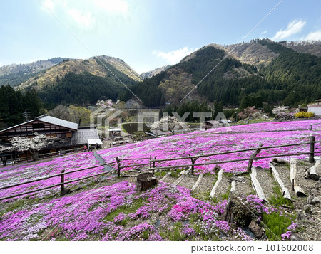 岐阜縣，長滿苔蘚的風景 101602008