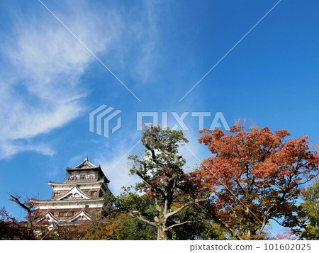 廣島城的天守閣和大樹(廣島市) 廣島城的天守閣和大樹(廣島市) 101602025