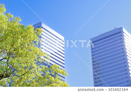 Office building and blue sky Office building and blue sky 101602164