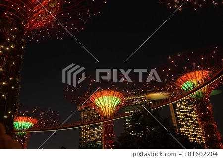 singapore supertree grove light show illumination 101602204