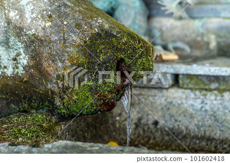 Lotus Temple Lotus Temple 101602418