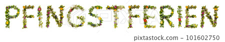 Colorful Blooming Flower Letters Building Pfingsferien Means Pentecost Holidays 101602750