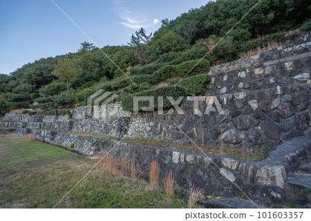 富岡八幡宮 富岡八幡宮 101603357