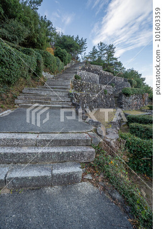 富岡八幡宮 101603359