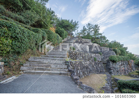 富岡八幡宮 101603360