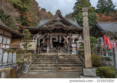 Okuboji 101603800