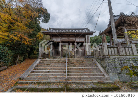 Fujii temple Fujii temple 101603910