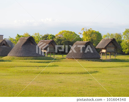 <托羅遺址>坑房和高蹺倉庫 101604348