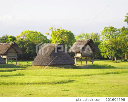 <Toro Ruins> Pit house and stilt warehouse <Toro Ruins> Pit house and stilt warehouse 101604396