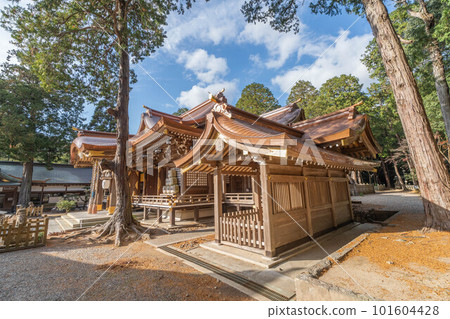 食人族老神社 食人族老神社 101604428
