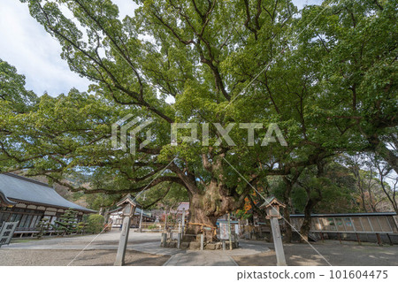食人族老神社 食人族老神社 101604475