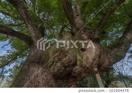 食人族老神社 食人族老神社 101604476