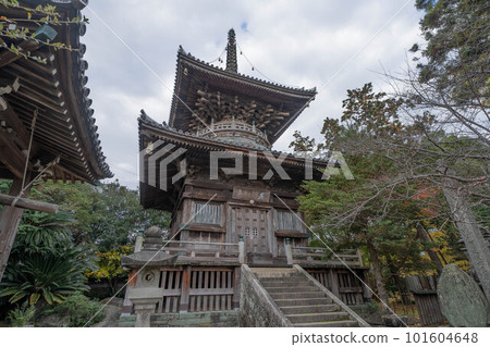 Lonzen Temple 101604648