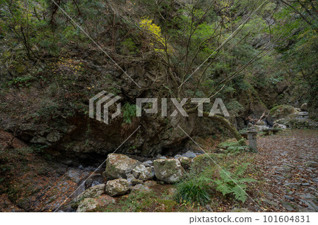 Rain waterfall of rain begining Rain waterfall of rain begining 101604831