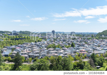 藍天和美麗的郊區住宅區 藍天和美麗的郊區住宅區 101604864