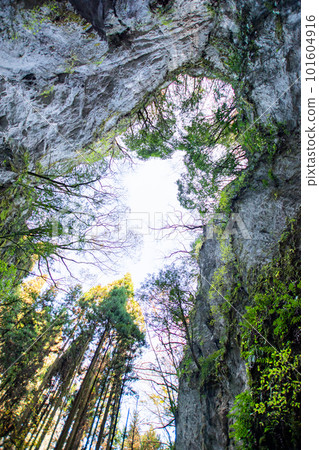 The sky seen from the entrance of Usan-dong (Doline bottom) The sky seen from the entrance of Usan-dong (Doline bottom) 101604916