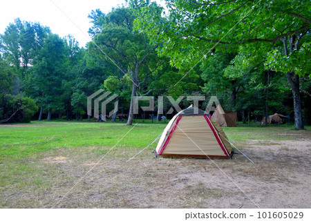 露營的形象·看起來適合獨自旅行和旅行的單人帳篷·清晨的田浦露營地·德島縣鳴門市（5） 101605029