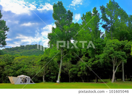 Camping image ・Refreshing scenery where the white screen dome shines in the greenery ・Taura camping ground ・Naruto City, Tokushima Prefecture (7) 101605046