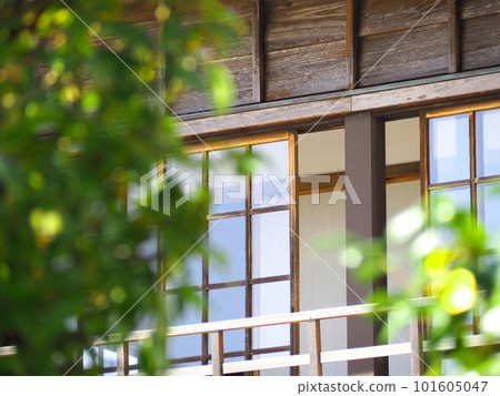 Retro window through the fresh green Retro window through the fresh green 101605047