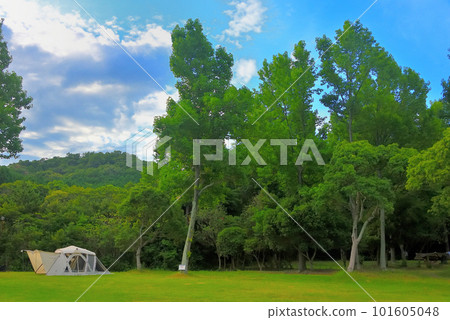 露營形象・白色屏風穹頂在綠色中閃耀的清新風景・田浦露營地・德島縣鳴門市(8) 露營形象・白色屏風穹頂在綠色中閃耀的清新風景・田浦露營地・德島縣鳴門市(8) 101605048