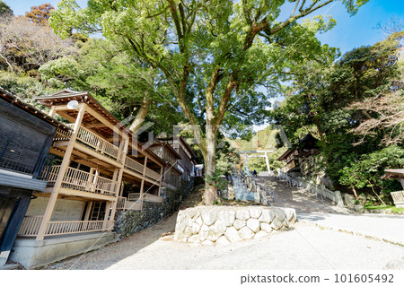 Tado Taisha Uphill Tado Festival Palace Sacred Tree 101605492