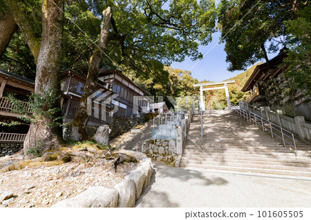 Tado Taisha Uphill Tado Festival Palace Sacred Tree Tado Taisha Uphill Tado Festival Palace Sacred Tree 101605505