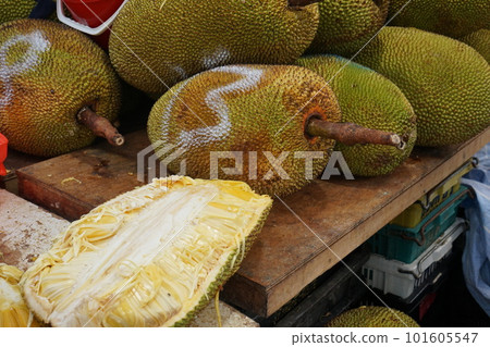 jackfruit jackfruit jackfruit jackfruit 101605547