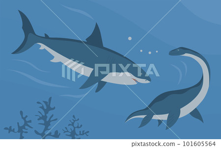 Illustration prehistoric underwater shark megalodon vs plesiosaur 101605564