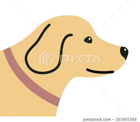 Cute domestic dog labrador on a white background Cute domestic dog labrador on a white background 101605568