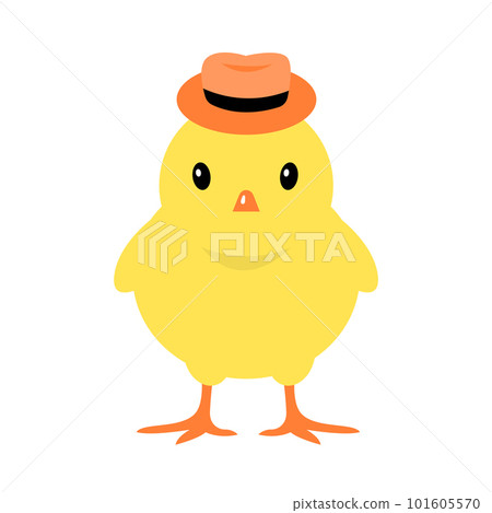 Little yellow chickhen isolated on white background Little yellow chickhen isolated on white background 101605570