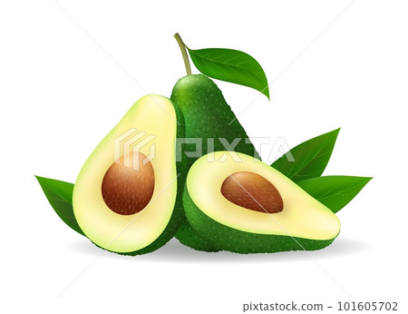 Avocado isolted fruits on white 101605702