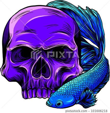 vector illustration of betta fish on white background. digital draw vector illustration of betta fish on white background. digital draw 101606218