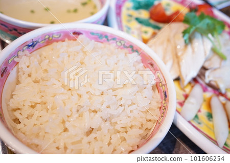Singapore chicken rice Singapore chicken rice 101606254
