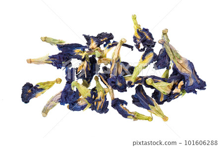 Butterfly pea flowers isolated on white background. Blue herbal tea. Clitoria Ternatea. Top view. Butterfly pea flowers isolated on white background. Blue herbal tea. Clitoria Ternatea. Top view. 101606288