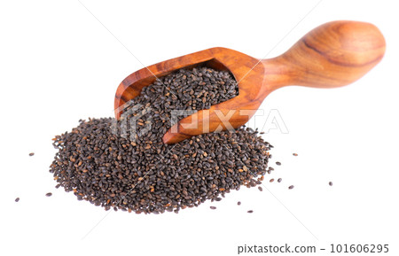 Basil seeds in wooden spoon, isolated on white background. Ocimum basilicum. Basil seeds in wooden spoon, isolated on white background. Ocimum basilicum. 101606295