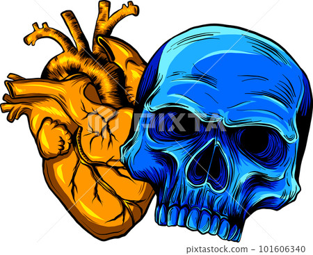 vector illustration of skull with heart on white background 101606340