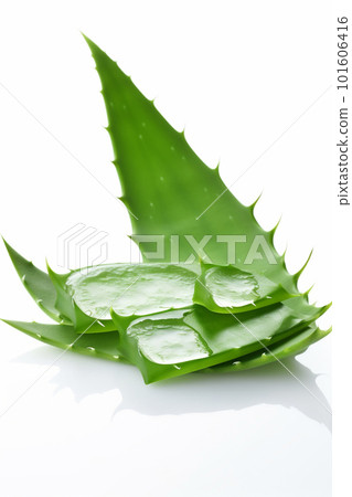 Generative ai aloe vera leaves and slices on white background. 101606416