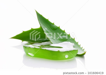 Generative ai aloe vera leaves and slices on white background. Generative ai aloe vera leaves and slices on white background. 101606419