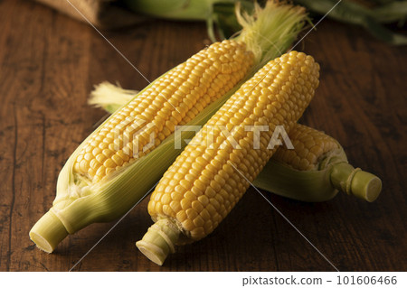 玉米 玉米 101606466